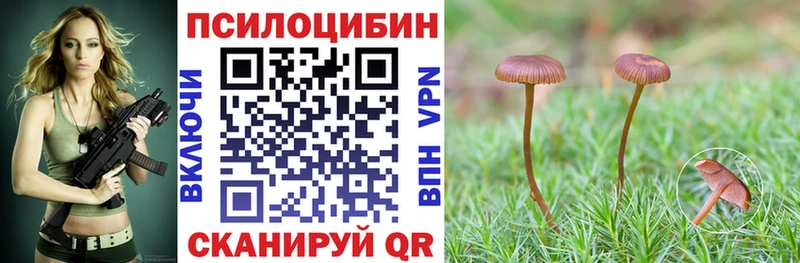 Псилоцибиновые грибы прущие грибы Холм