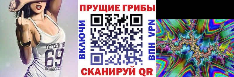 Галлюциногенные грибы Magic Shrooms  Холм 